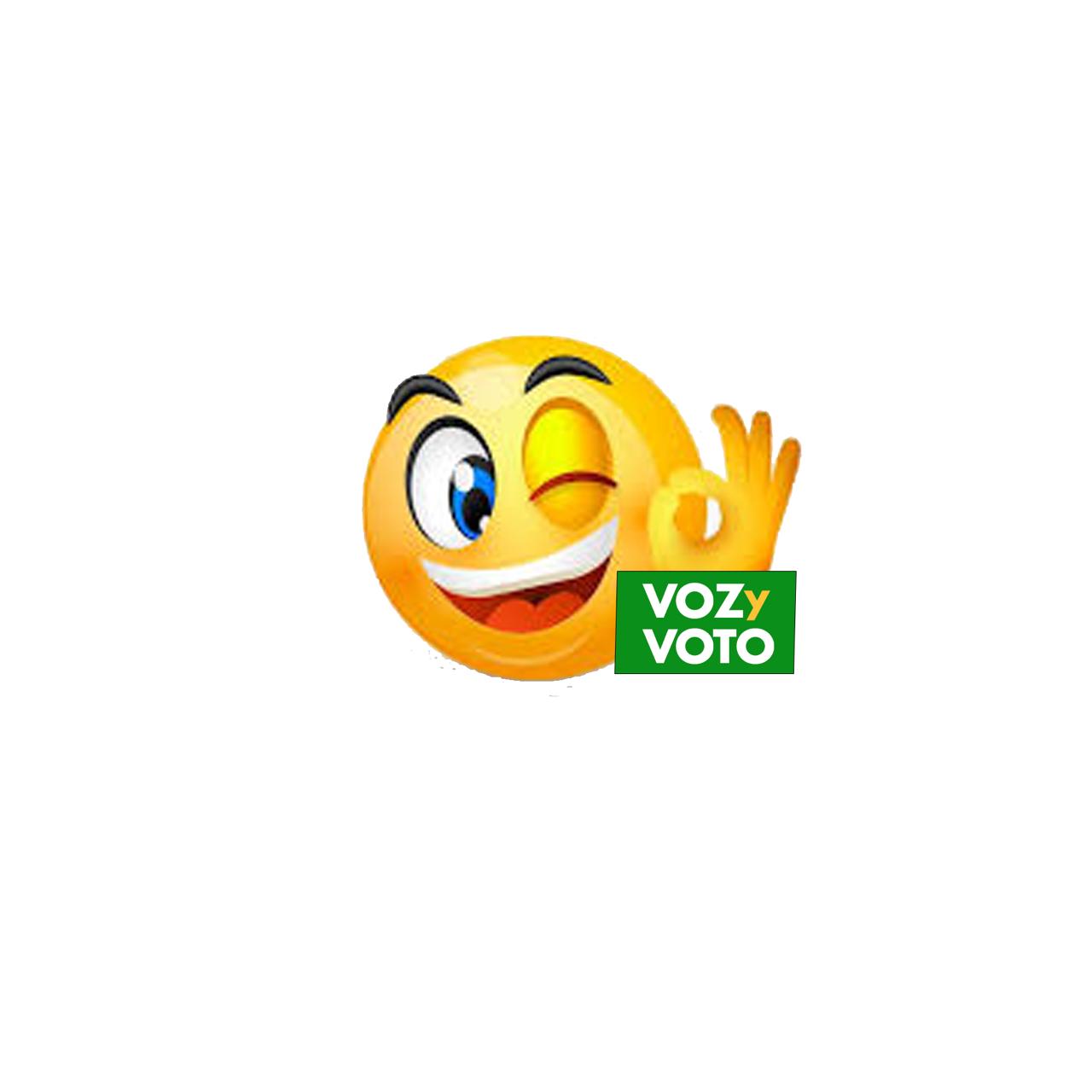 Voz y Voto Logo